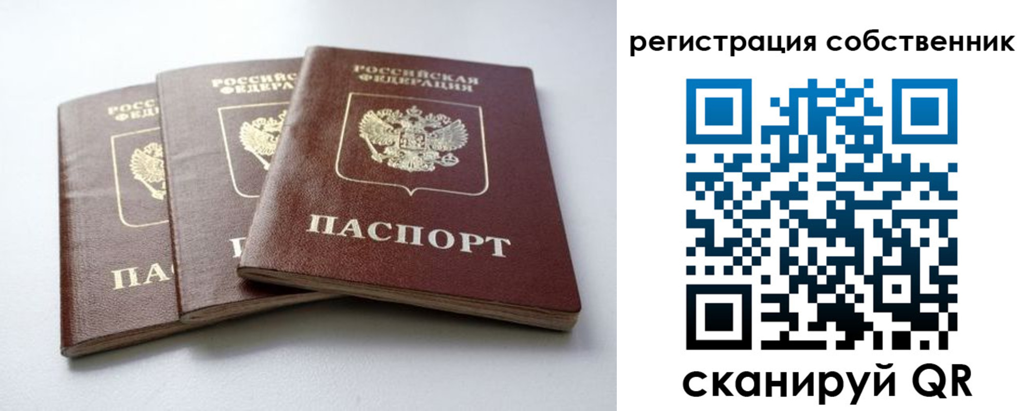 прописка для школы в Петухово